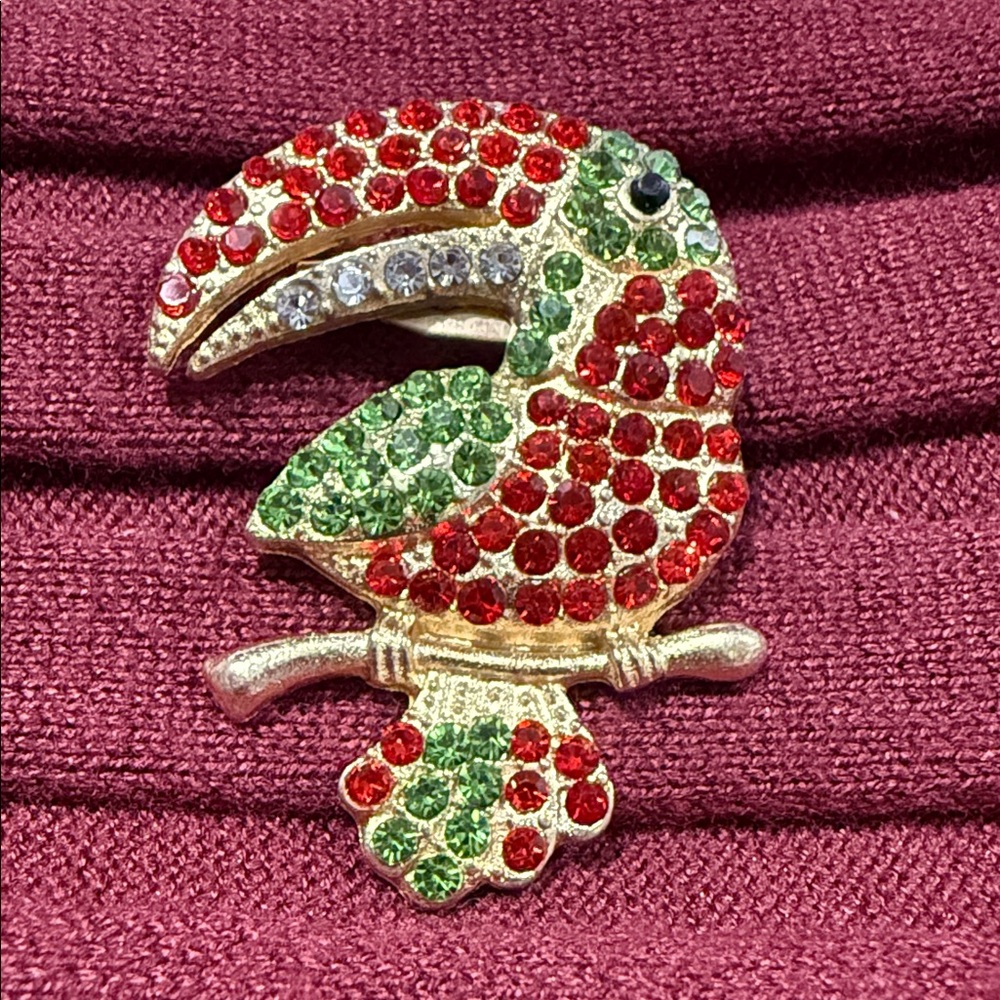 Colorful Toucan Bird Brooch